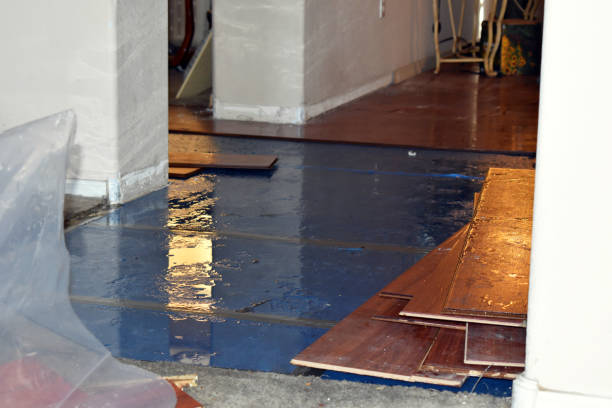 Professional Basement Flood Cleanup technician working in Valparaiso, FL